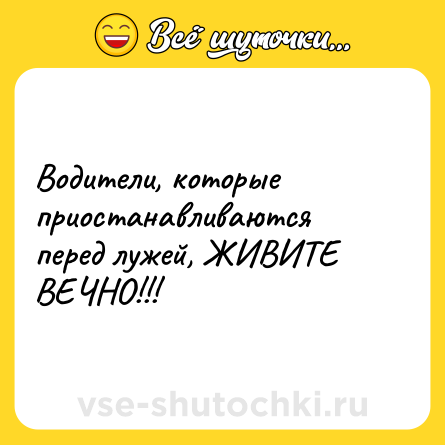 Шутка: Водители, которые приостанавливаются перед лужей, ЖИВИТЕ ВЕЧНО!!!