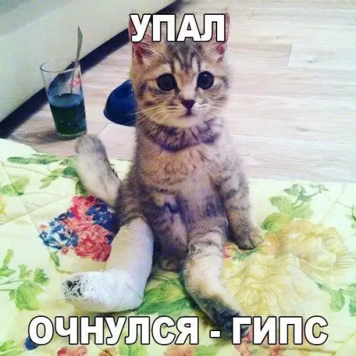 Смешная картинка №232795