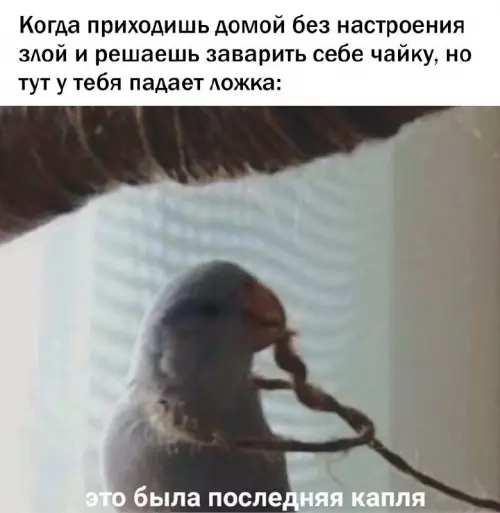 Смешная картинка №662378