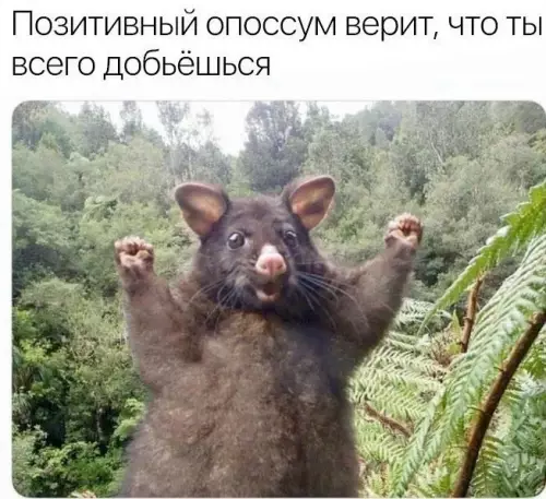 Смешная картинка №778521 Спасибо 