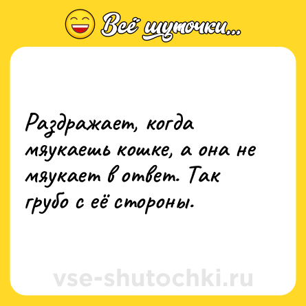 Шутка: Раздражает, когда мяукаешь кошке, а она не мяукает в ответ. Так грубо с её стороны.