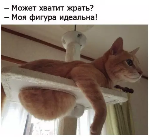 Смешная картинка №213492