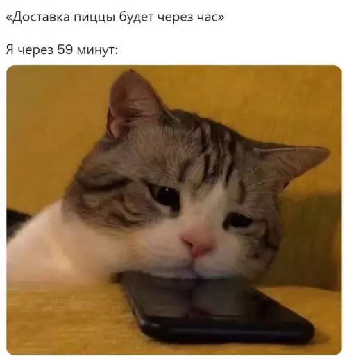 Смешная картинка №610792