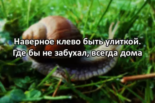 Смешная картинка №286785