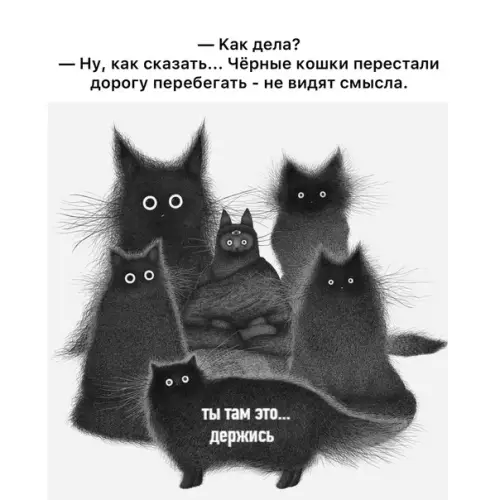 Смешная картинка №576230 Кошки