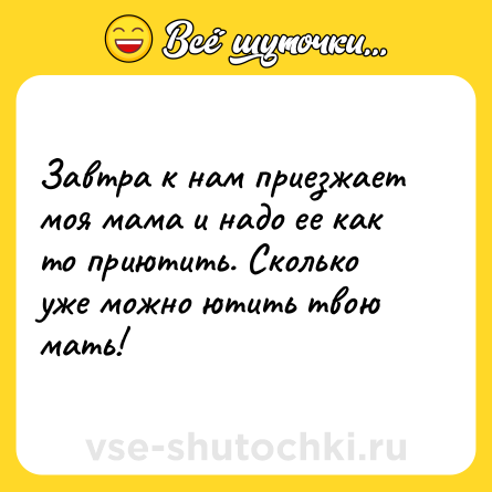 Шутка: Завтра к нам приезжает моя мама и надо ее как то приютить. Сколько уже можно ютить твою мать!