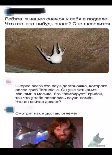 Смешная картинка №329831
