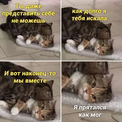 Смешная картинка №659059