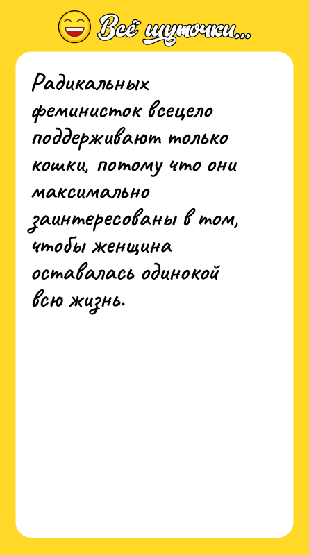 Радикальных феминисток всецело поддерживают только кошки, потому что они максимально