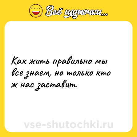 Шутка: Как жить правильно мы все знаем, но только кто ж нас заставит.