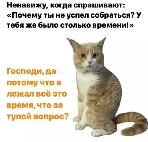 Смешная картинка №776907