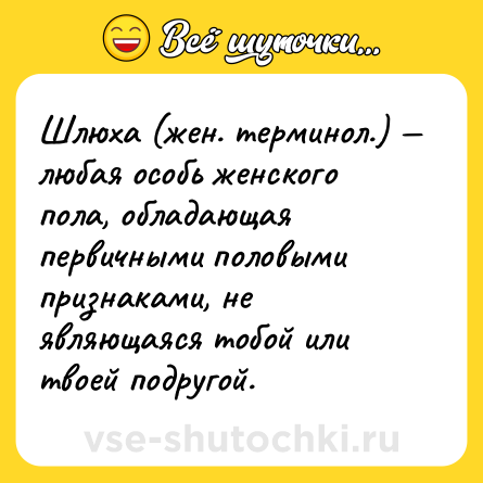 Шутка: Шлюха (жен. терминол.) любая особь женского пола, обладающая первичными половыми признаками, не являющаяся тобой или твоей подругой.