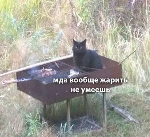 Смешная картинка №759347