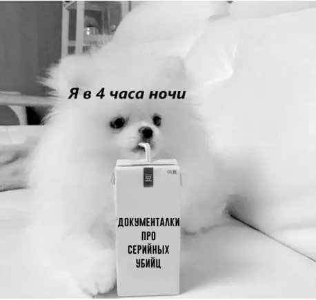 Смешная картинка №379775 Обoжаю.