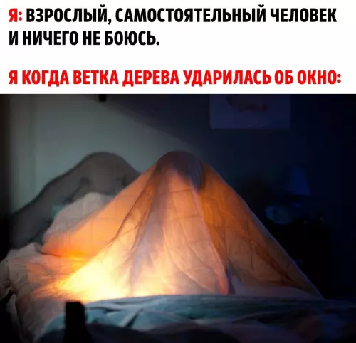 Смешная картинка №678854 Всё потому, что это вовсе не ветка, а большой бабайка.
