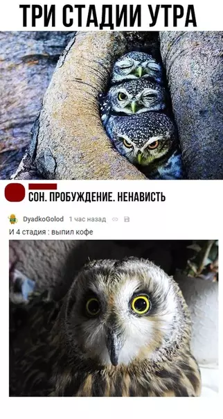 Смешная картинка №297071
