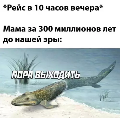 Смешная картинка №750931