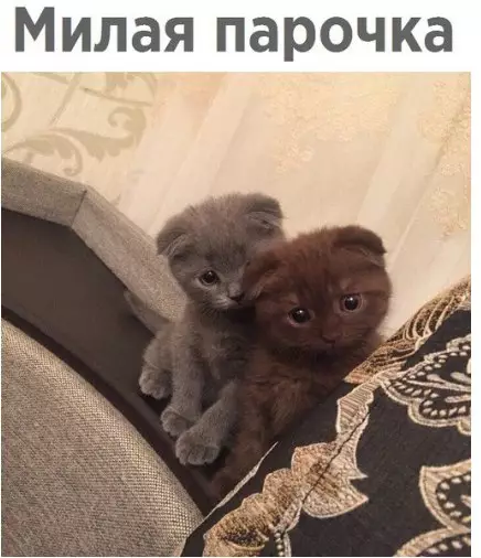 Смешная картинка №213146