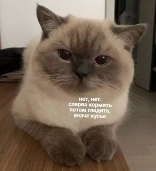 Смешная картинка №737006
