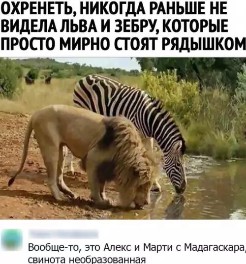 Смешная картинка №539234