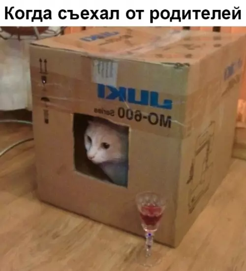 Смешная картинка №336793