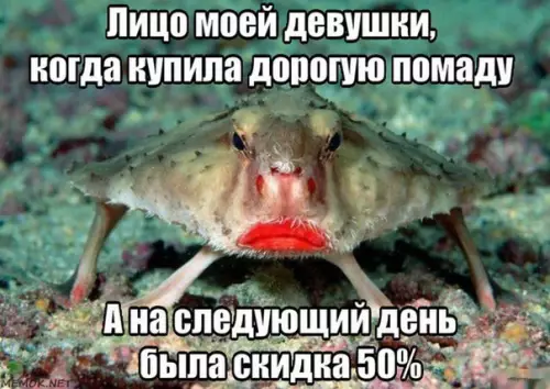 Смешная картинка №297234