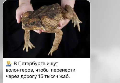 Смешная картинка №718604 Питер