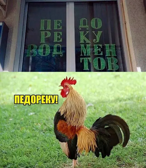 Смешная картинка №680921
