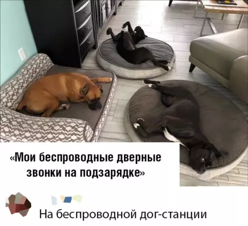 Смешная картинка №389906