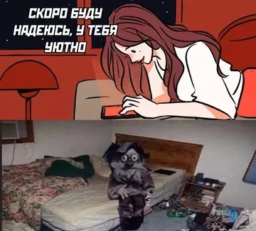 Смешная картинка №742837