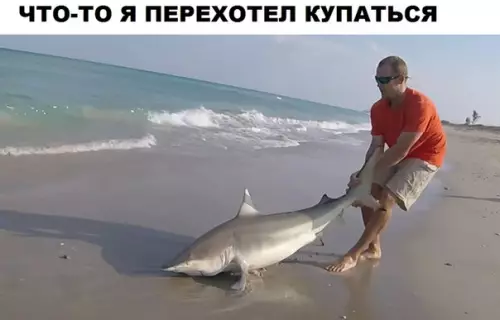 Смешная картинка №287411