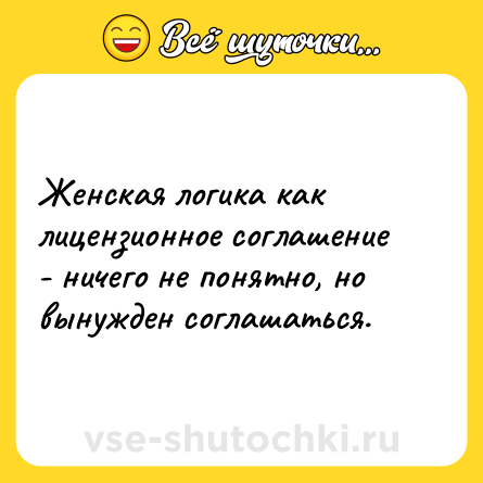 Шутка: Женская логика как лицензионное соглашение - ничего не понятно, но вынужден соглашаться.