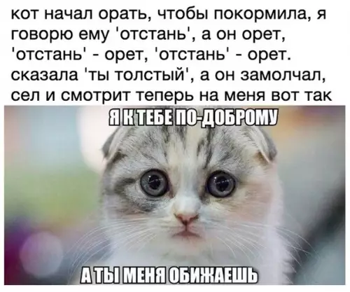 Смешная картинка №389117