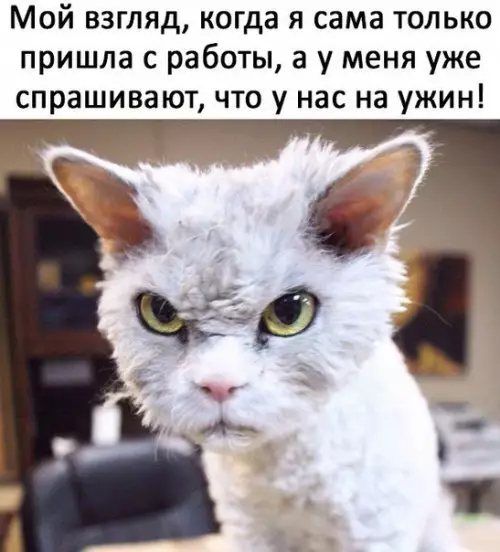 Смешная картинка №230944