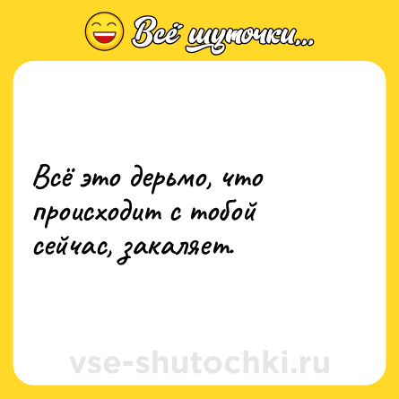 Шутка: Всё это дерьмо, что происходит с тобой сейчас, закаляет.