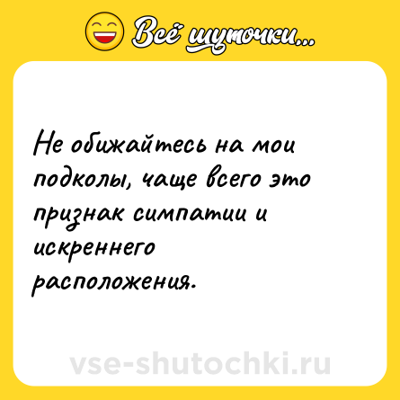 Шутка: Не обижайтесь на мои подколы, чаще всего это признак симпатии и искреннего расположения.