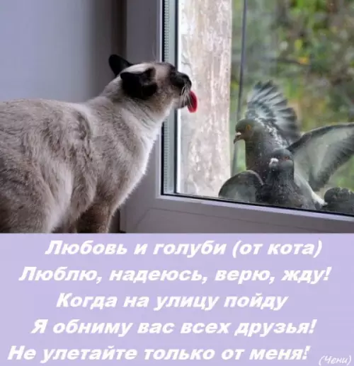 Смешная картинка №179738 хочется. да неможется