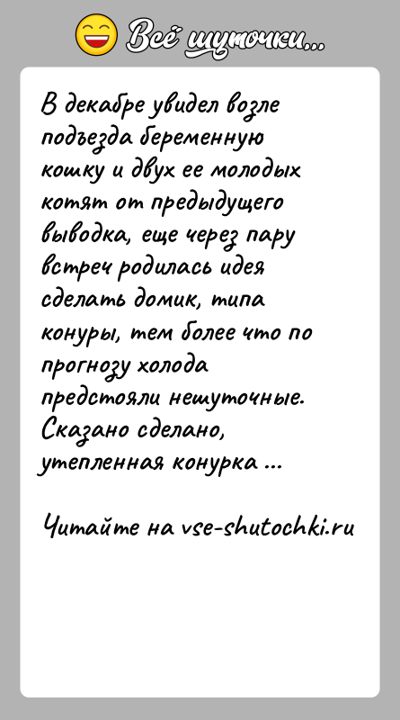 История: В декабре увидел возле подъезда беременную кошку и двух ее молодых котят от предыдущего выводка, еще через пару встреч