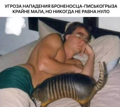 Смешная картинка №725245