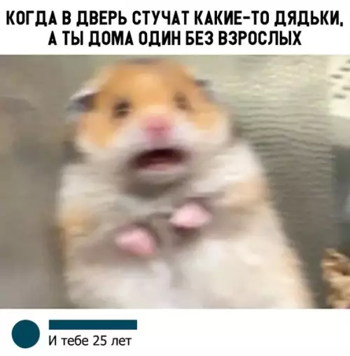Смешная картинка №347064