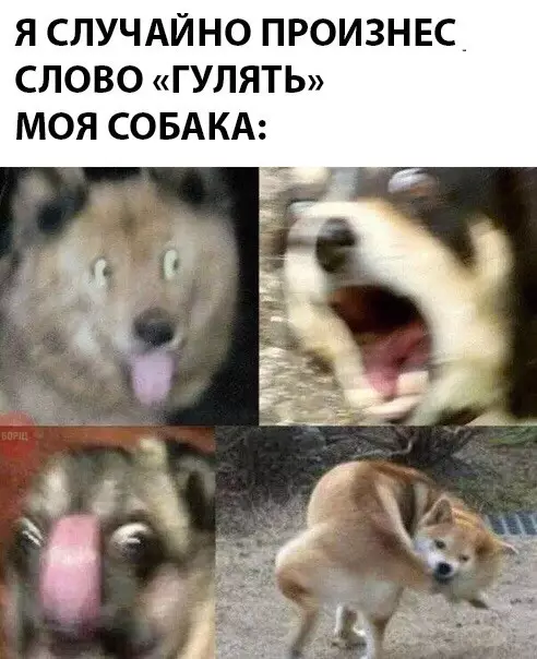 Смешная картинка №371823 Осторожнее со словами