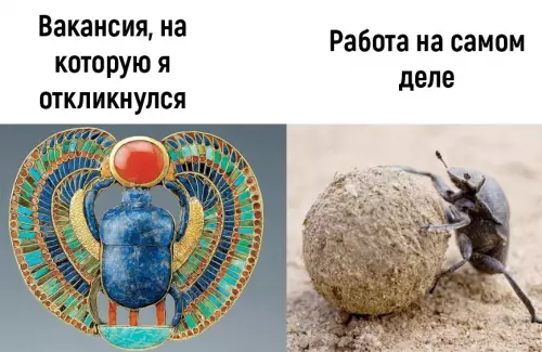 продолжение Смешная картинка №725370 Работа