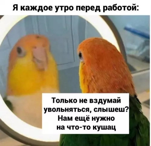 Смешная картинка №606316 Угoвopы, нa кoтopыx дepжитcя мoя кapьepa