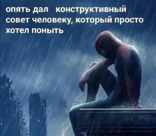 Когда включил режим эксперта не вовремя 🌧️ - опять дал конструктивный совет человеку, который просто хотел поныть