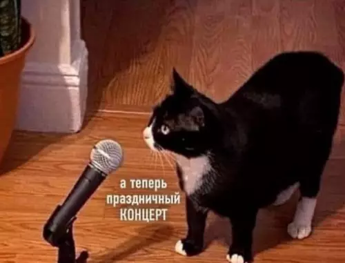 Смешная картинка №701660 Я: наконец-то ложусь спать

Мой кот:
