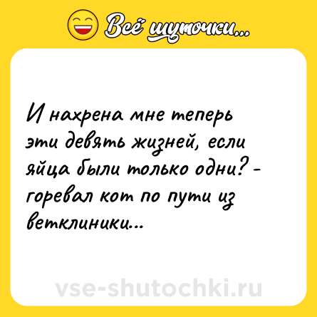 Шутка: И нахрена мне теперь эти девять жизней, если яйца были только одни? - горевал кот по пути из ветклиники...