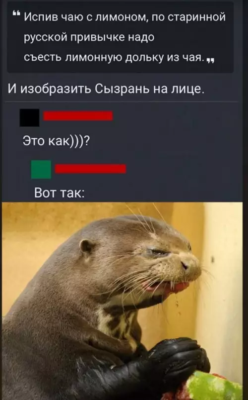 Смешная картинка №777127