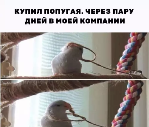 Смешная картинка №201498