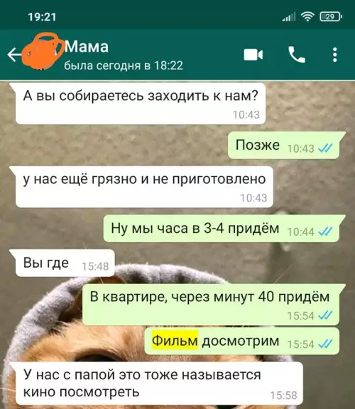 Смешная картинка №633019 А чтo твopитcя у вac в ceмeйнoм чaтe Переписка