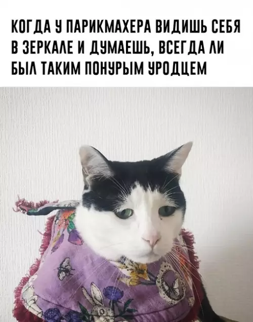 Смешная картинка №674603